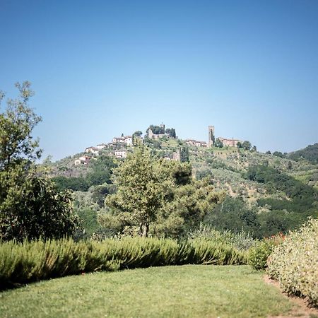 Terre Di Cocomo Borgo a Buggiano Luaran gambar