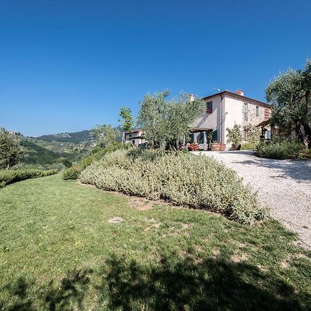 Terre Di Cocomo Borgo a Buggiano Luaran gambar