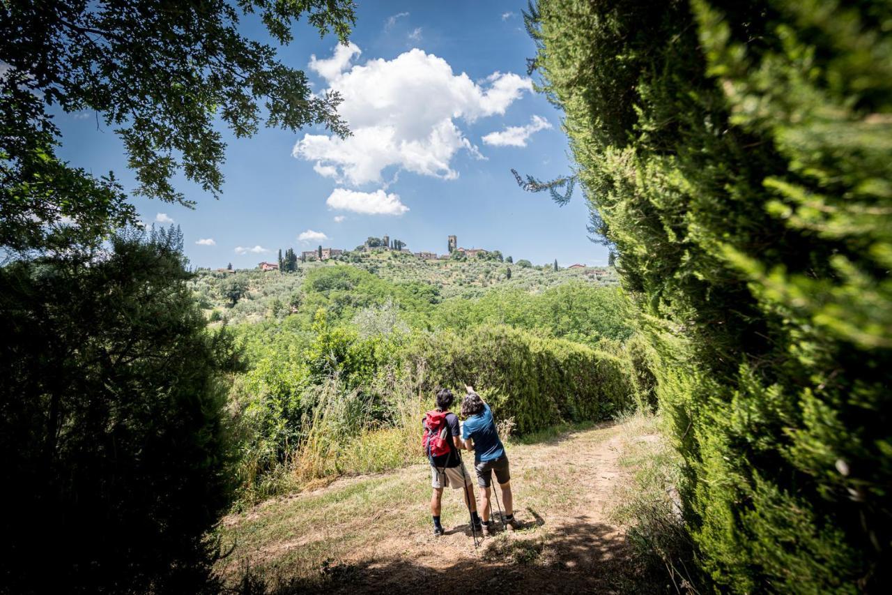 Terre Di Cocomo Borgo a Buggiano Luaran gambar