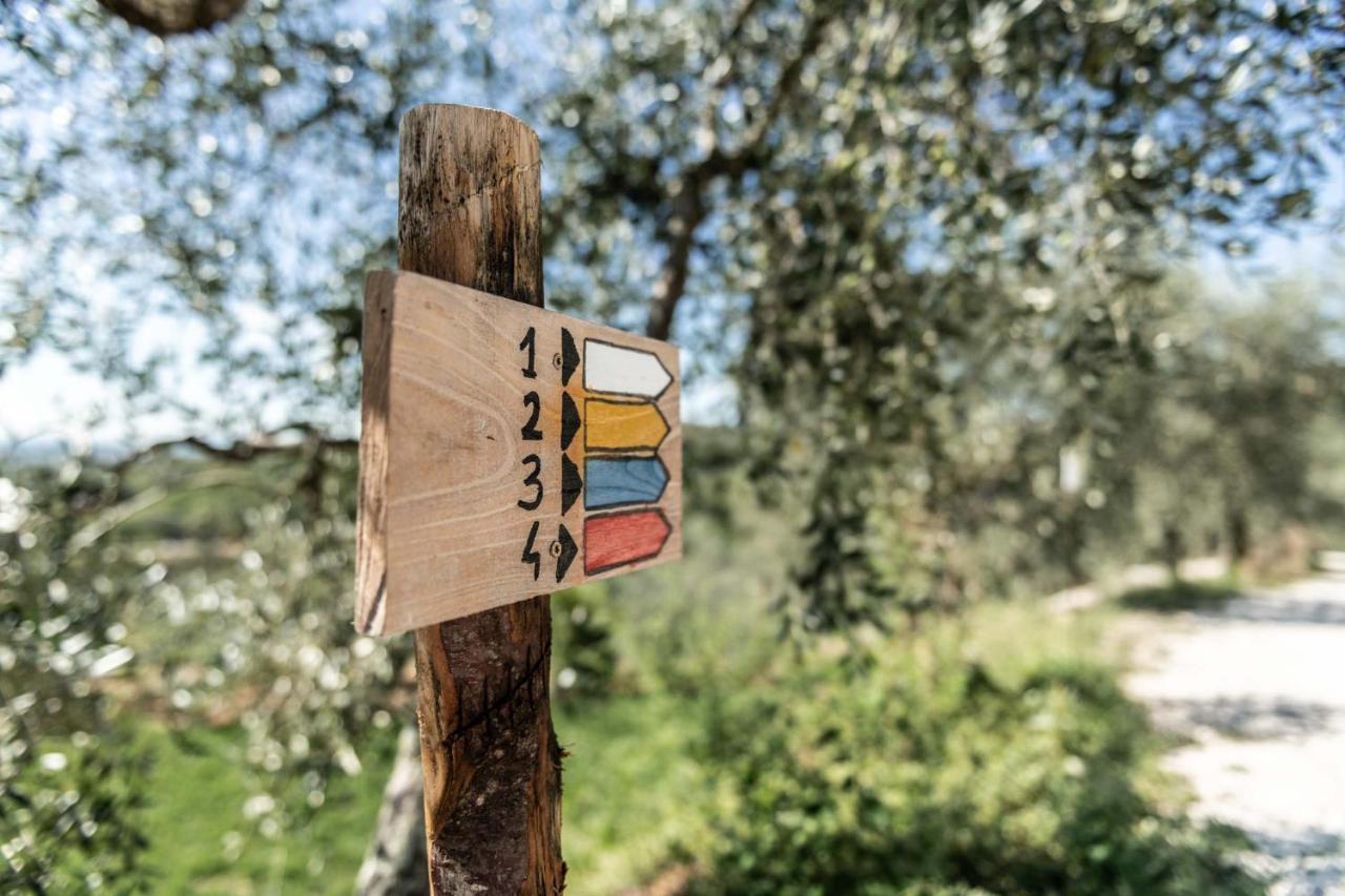 Terre Di Cocomo Borgo a Buggiano Luaran gambar