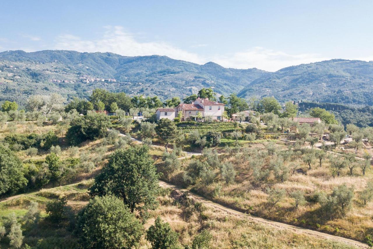 Terre Di Cocomo Borgo a Buggiano Luaran gambar