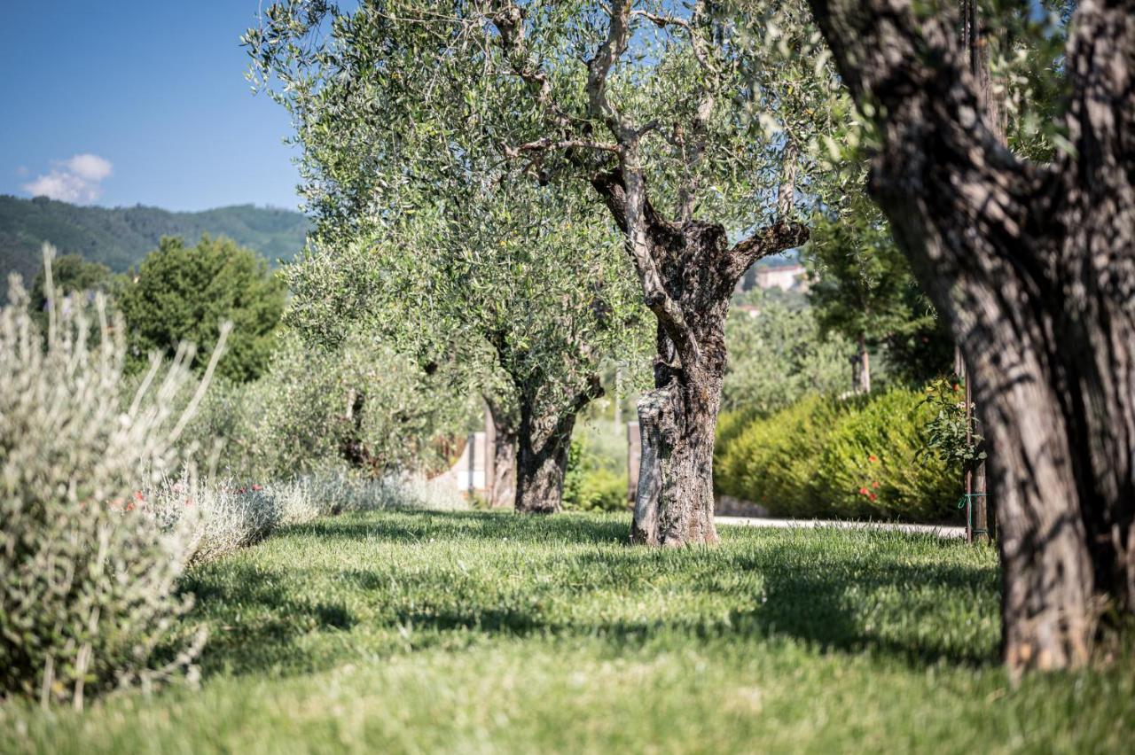 Terre Di Cocomo Borgo a Buggiano Luaran gambar